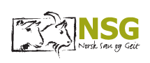nsg_logo_215x90